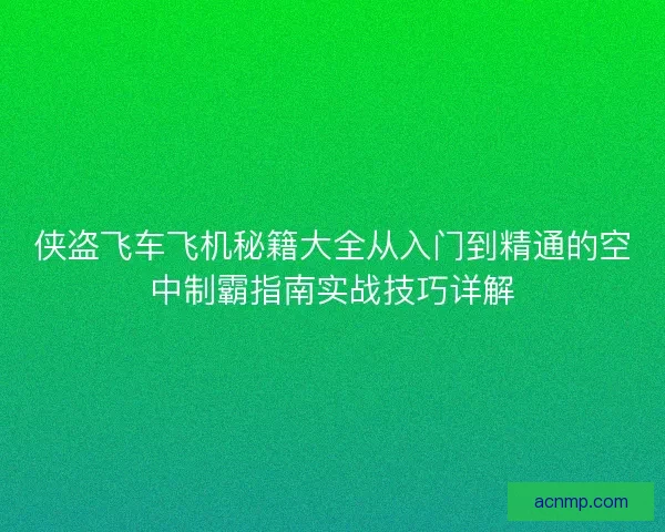 侠盗飞车飞机秘籍大全从入门到精通的空中制霸指南实战技巧详解